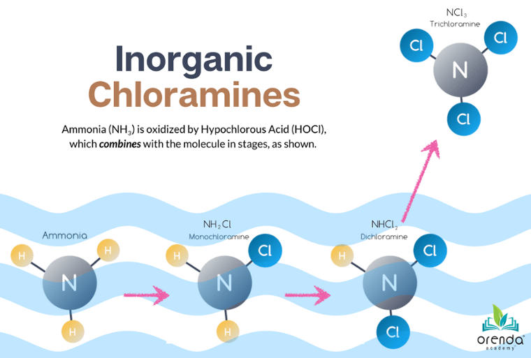 Phosphates Algae And Chlorine Demand - Best Light Images in 8K